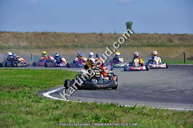 DSC_ (1309).jpg